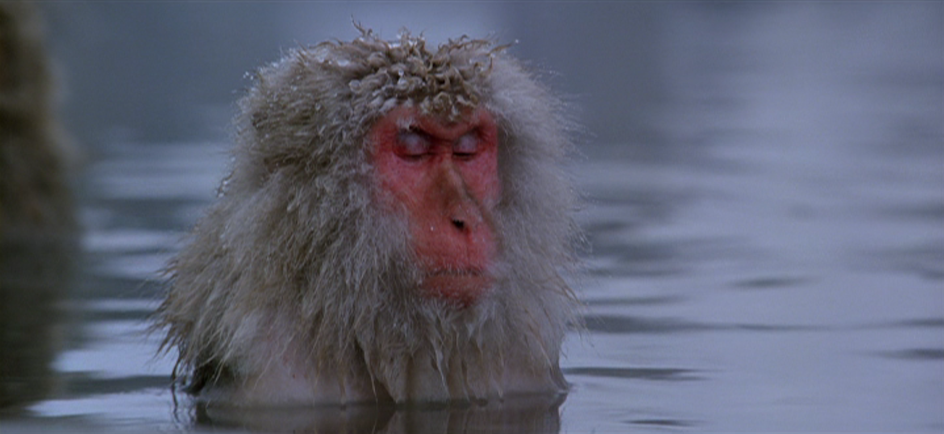 Taste of Cinema names BARAKA Number One Top 10 Most Beautiful Movies of All Time